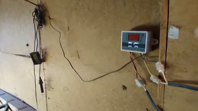 Что нам поможет в курятнике? смотреть онлайн
