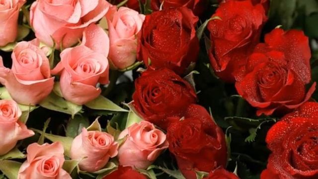 Мариночка, с Днем рождения !!! смотреть онлайн