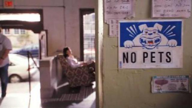 "Отель для собак" - Дублированный трейлер смотреть онлайн