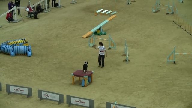 AWC 2010 Anja Lehtiö & Pray TEAM AGILITY смотреть онлайн