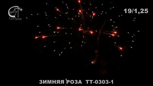 ЗИМНЯЯ РОЗА смотреть онлайн