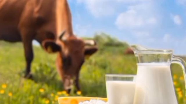 Сүт ішу- адам организмне пайдасы мен зияны қандай смотреть онлайн