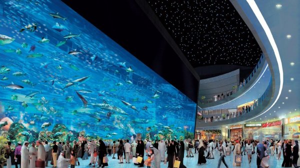 Dubai Mall Aquarium