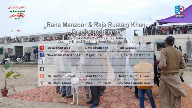 Greyhound Derby Race | Country B. | semi final | Raja Rastam & Rana Manzoor (M)CuP 03-02-24 #dog смотреть онлайн