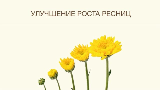 Si Lashes - это... смотреть онлайн