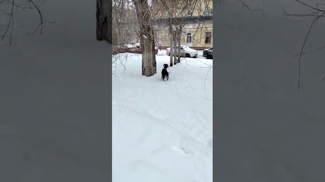 25 февраля 2023 г. смотреть онлайн