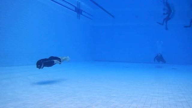 Nikon Coolpix AW130 Бассейн Труд 2016.01.31 смотреть онлайн