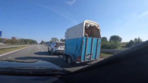 Adu_story - А ты кто такой?