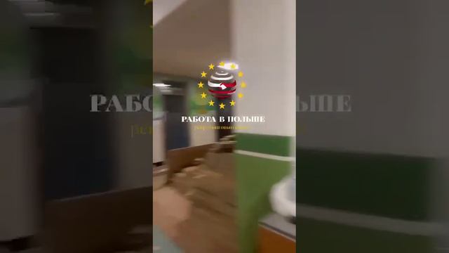 Видео-отзыв от на работу в Южной Корее смотреть онлайн