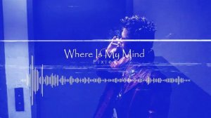 Pixies - Where Is My Mind (𝑺𝒍𝒐𝒘𝒆𝒅 + 𝑹𝒆𝒗𝒆𝒓𝒃)