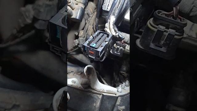 Шевроле Круз не запускается. Стартер не крутит. Диагностика на связь не выходит. #car #chevrolet смотреть онлайн