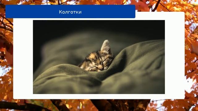Колготки смотреть онлайн