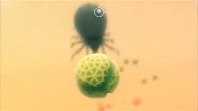 Everything - The PC Game of.. Face Plants - Part 1 смотреть онлайн