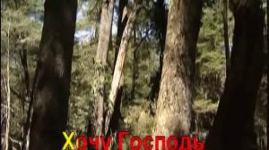 Гимны Надежды - 118. Прекрасный день пришел