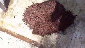 Тротуар. Из резиновой крошки. #Процесс изготовления.#