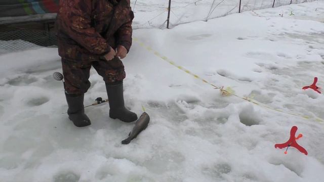 Р.Д.Юрлово. ВИП зона. смотреть онлайн