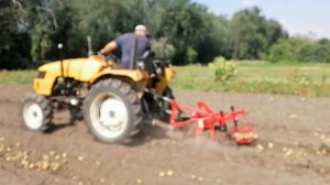 Копаем картошку с картофелекопалкой ККМ 5