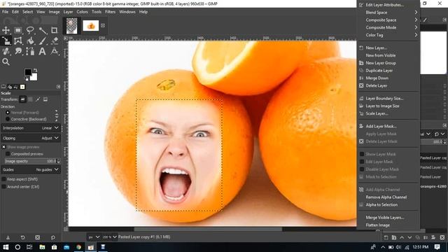 how to put a face on a orange gimp смотреть онлайн