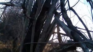 КОПЧЕНИЕ РЫБЫ ОТ ..А.. ДО ..Я..!!!! ЯКУТИЯ!!!