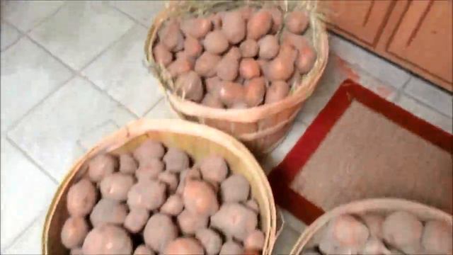 Farm update - beans, figs and potatoes смотреть онлайн