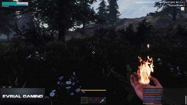 Reign Of Guilds (RoG) Интервью с Разработчиком новая Русская MMORPG