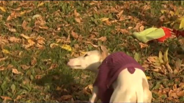 Лови момент (07.10.2015) смотреть онлайн