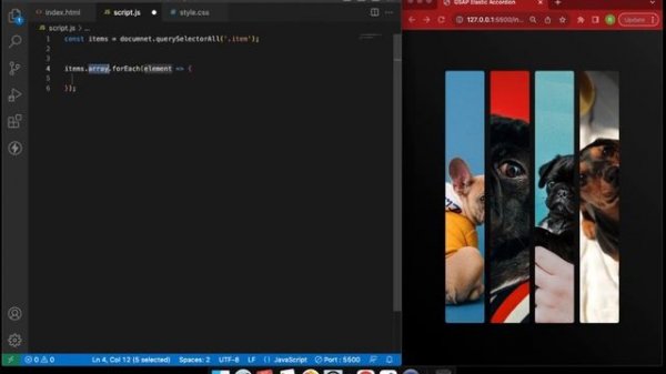 GSAP Accordion using html css and javascript: Image Viewer