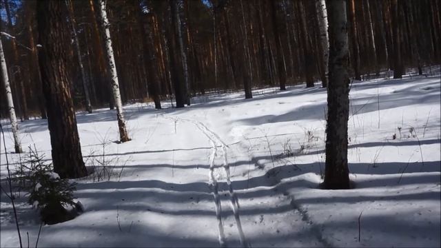 Закрытие лыжного сезона. Уникальная ситуация смотреть онлайн