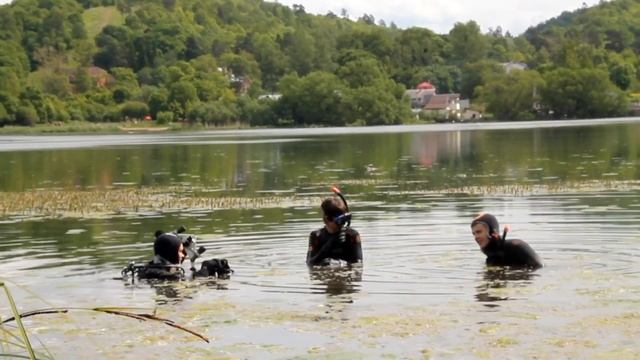 Экологическое добровольчество смотреть онлайн