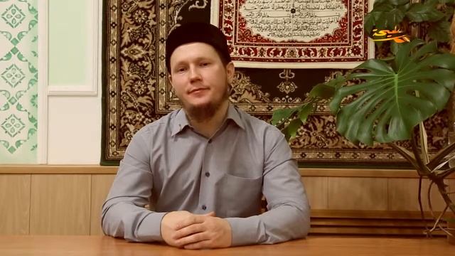 Исмаил абу Мансур - Утешение жён - обязанность мужа смотреть онлайн