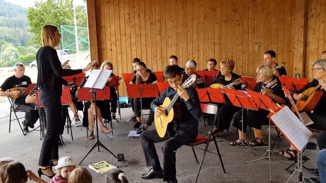 Festival International de Mandolines & Guitares 2019 - Remiremont (France) смотреть онлайн