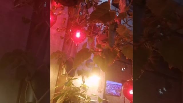 Вязание Макраме Домодедово ?Подвесное Кашпо макраме Декор для Дома Бара Ресторана Макраме на заказ↙ смотреть онлайн