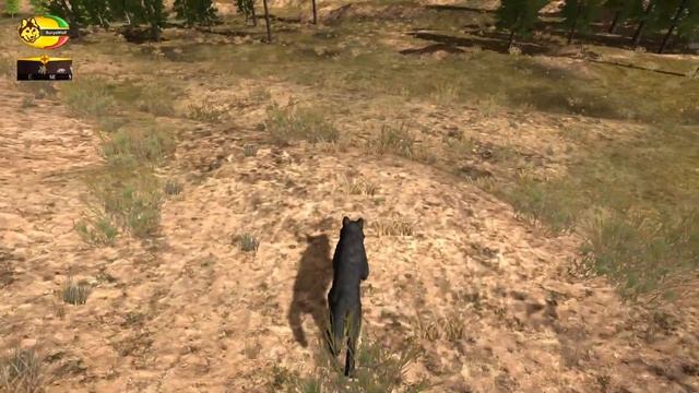 КАК ПОПАСТЬ ЗА КАРТУ | WolfQuest 2.7.3 смотреть онлайн