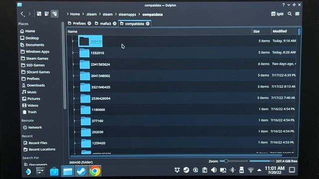Transfer Save Files Involving Lutris & Steam