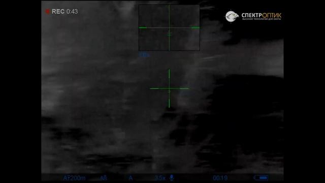 Волки хотели разорвать деревенских собак, но получили отпор | Охота на волков в Беларуси 2021 смотреть онлайн