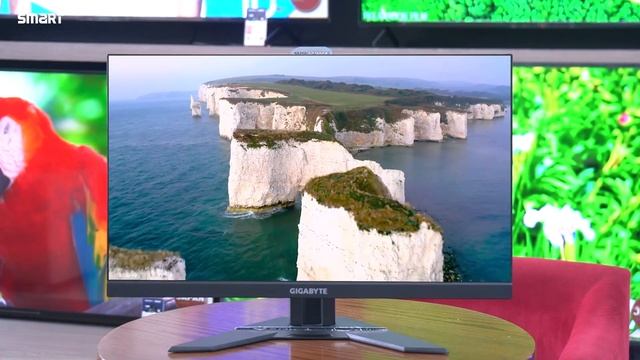 কম দামে এটাই Best Gaming Monitor! | Gigabyte G24F | Smart Technologies смотреть онлайн