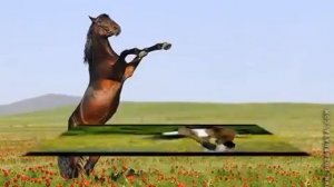 ускакала в поле молодая лошадь