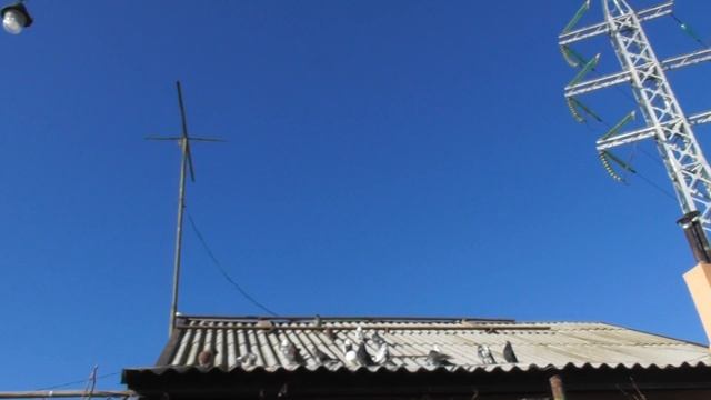 Крымаки и мурые в новом году. смотреть онлайн