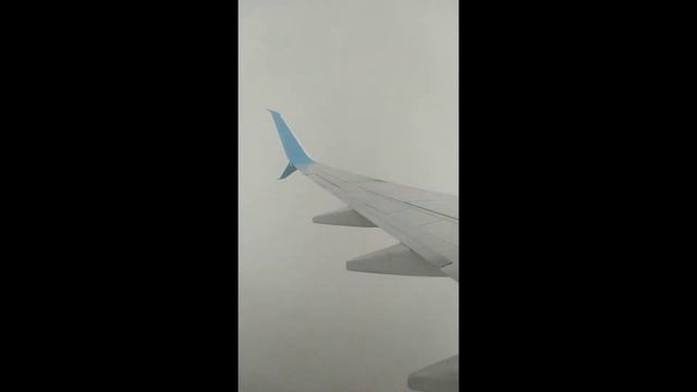 Подборка Аэропорт Москва Волгоград Covid19