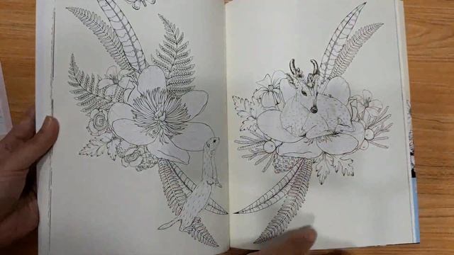 Into the Wild: An Exotic Animal Colouring Book by Daisy Fletcher смотреть онлайн