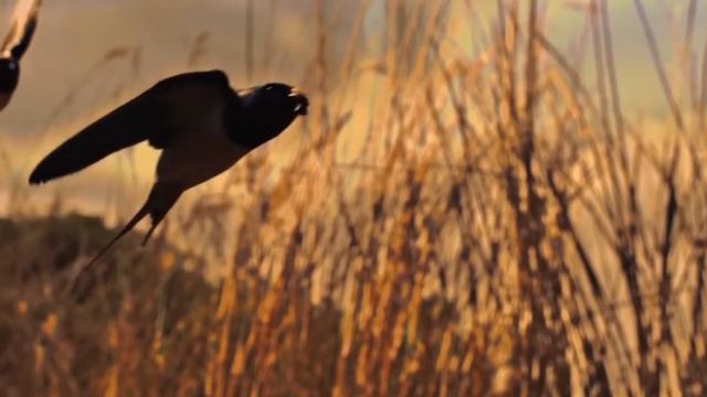 Перспектива 2023