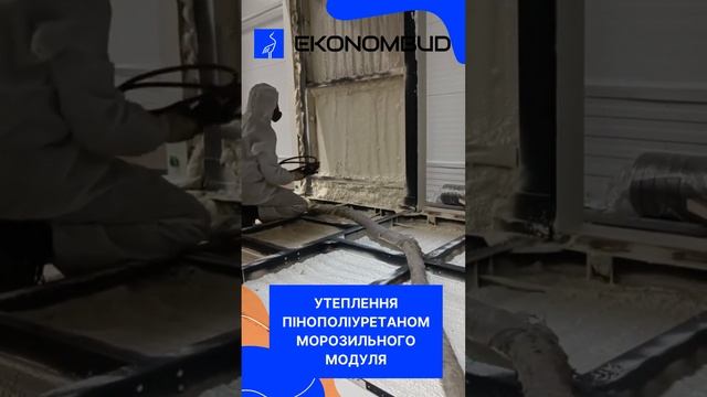 Утеплення пінополіуретаном морозильного модуля #shrots