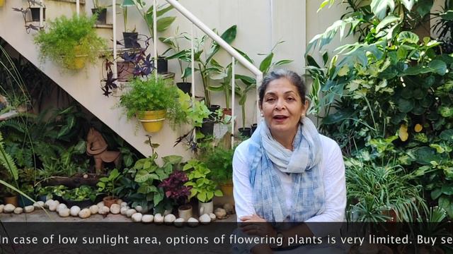 Beginning of Your Winter Wonderland | Flowers & Vegetable Garden Preparation смотреть онлайн