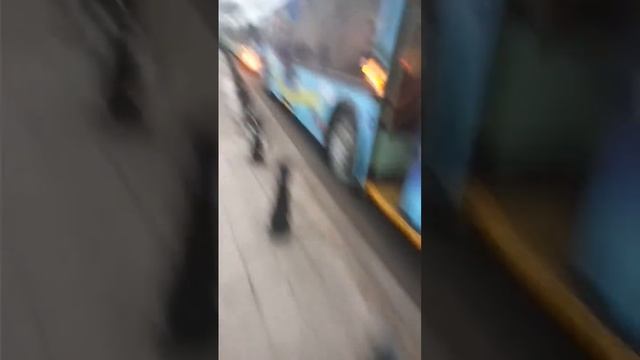 Забастовка траликов в Минске смотреть онлайн