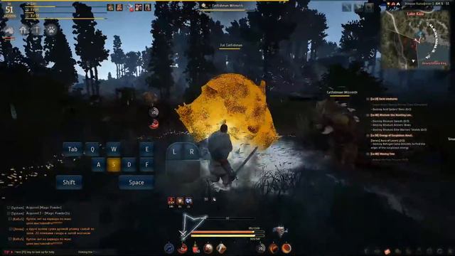 Black Desert 02 07 2016 07 44 33 04 смотреть онлайн