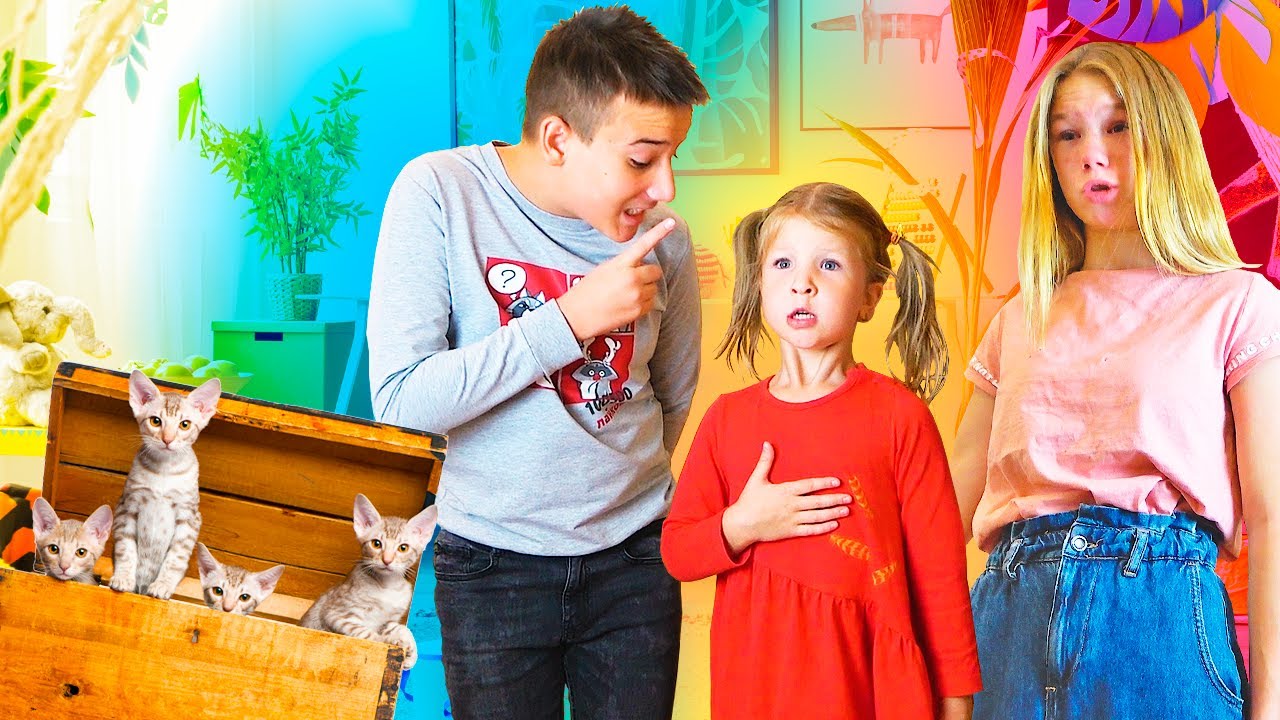 Брат приносит домой котят, старшая и младшая сестра вредничают, родители против смотреть онлайн