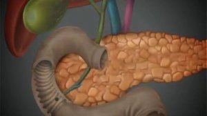 СИВИДАЛ 12 минут