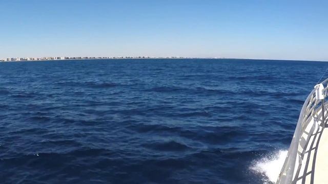 Sea Mist III Drift Fishing! 2.14.15 смотреть онлайн