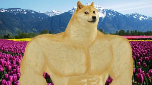 You Deserve It смотреть онлайн