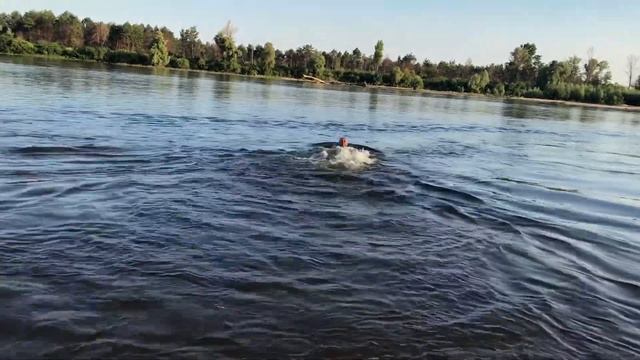 Десна, Воропаев 2021 смотреть онлайн